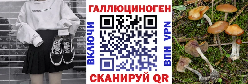 Псилоцибиновые грибы Psilocybe  Купить  Кунгур 